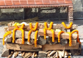 Service Image